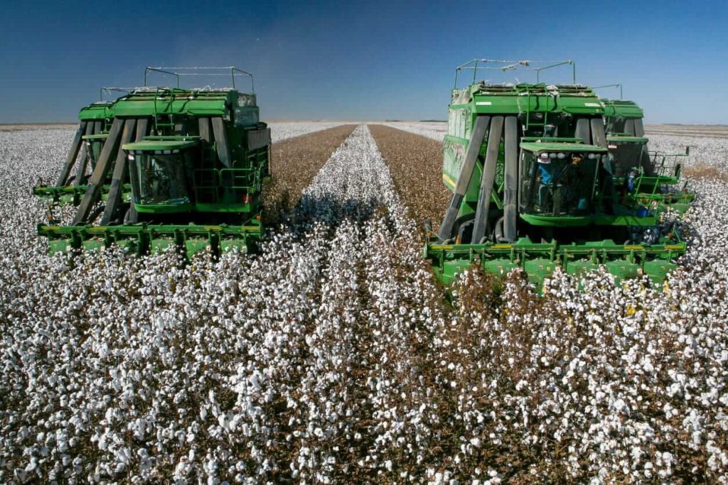 Cotton Bulls Push Higher Heading into the Thursday Close